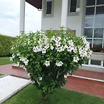 Casa D Aitana 펜션