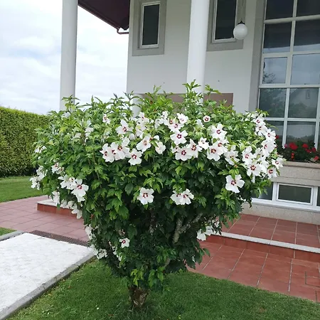 Casa D Aitana Holiday home