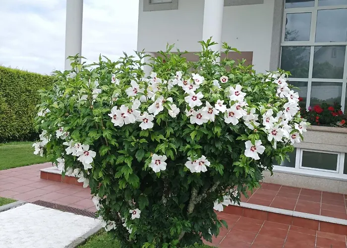 Casa D Aitana Σπίτι διακοπών